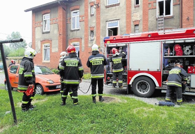 Kanarka niestety nie udało się sfotografować.