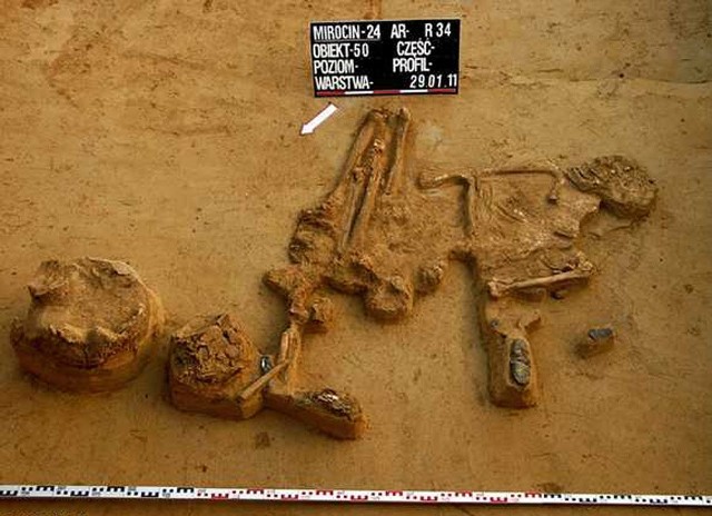 Szczątki mężczyzny sprzed 5 tysięcy lat z częścią znalezionych przy nich kosztowności.
