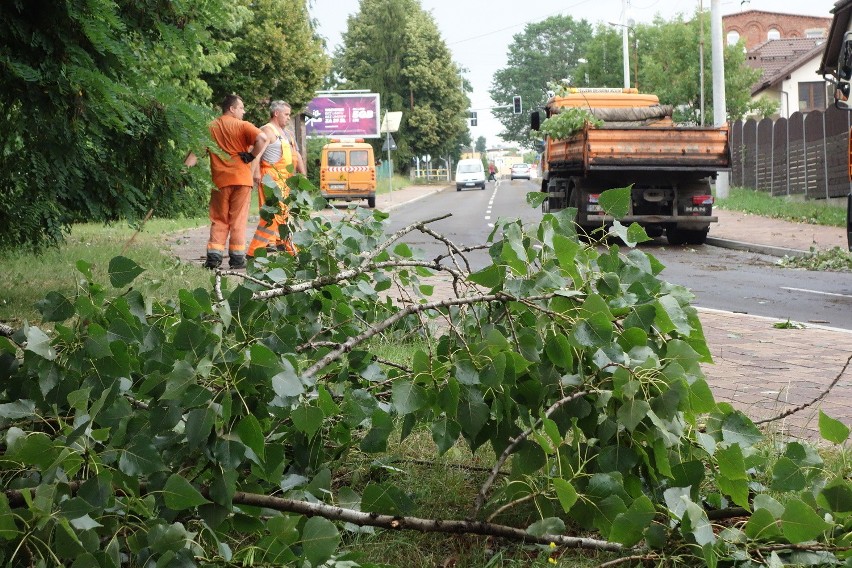 Sprzątanie gałęzi w Katowicach Kostuchnie