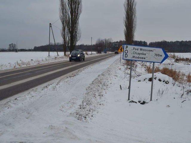 Między Niemczem a Maksymilianowem ścieżka przy drodze powiatowej była odśnieżona.