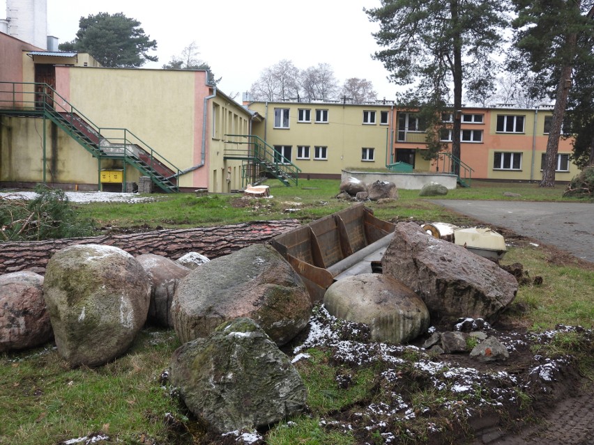 Wycinka drzew w Małkini Górnej. Rozpoczęto przebudowę boiska przy małkińskim „Staszicu”. Zdjęcia