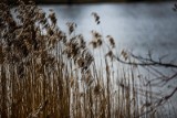 Pogoda na weekend dla Poznania i Wielkopolski. Czy przyjdzie prawdziwa wiosna? Czeka nas zmiana temperatur od 26 marca