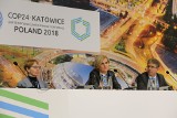 Raport WHO na COP24: powietrze lepszej jakości albo śmierć. Miliony osób giną przez zanieczyszczone powietrze