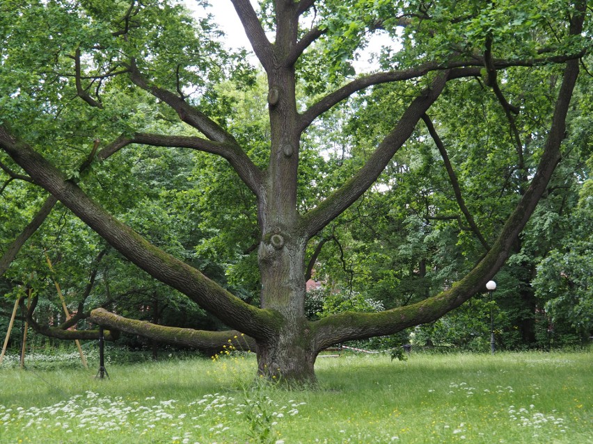 Zamknięty od połowy kwietnia z powodu II stopnia alarmu...