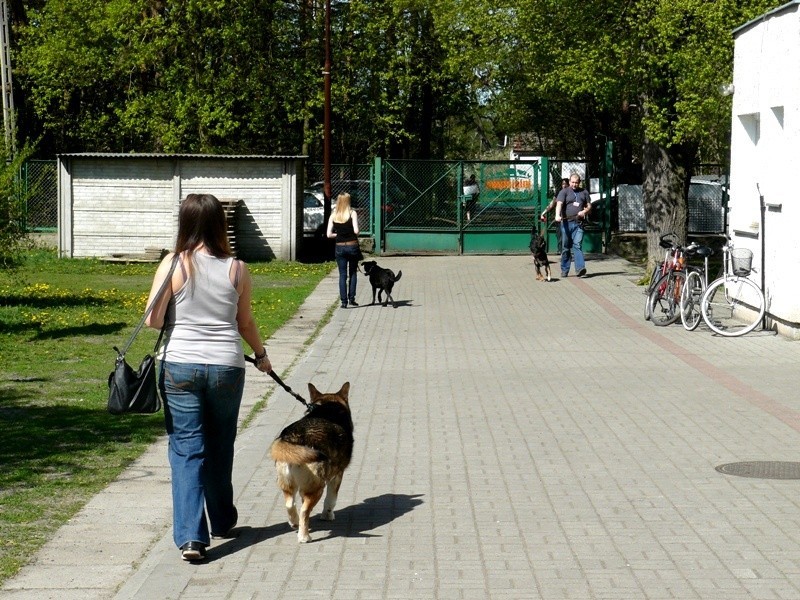 Z wizytą w Schronisku dla Bezdomnych Zwierząt w Zi...