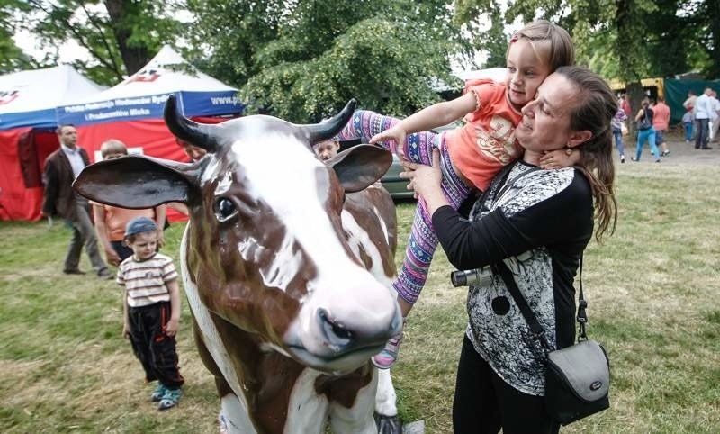 Wystawa zwierząt w w Podkarpackim Ośrodku Doradztwa Rolniczego w Boguchwale [ZDJĘCIA]