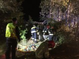 Dramatyczny wypadek w gminie Pawłów. BMW uderzyło w drzewo. Pięć osób w szpitalu, trzy z nich nieprzytomne