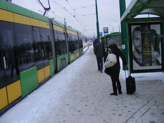 Zima rozgościła się w Poznaniu w najlepsze