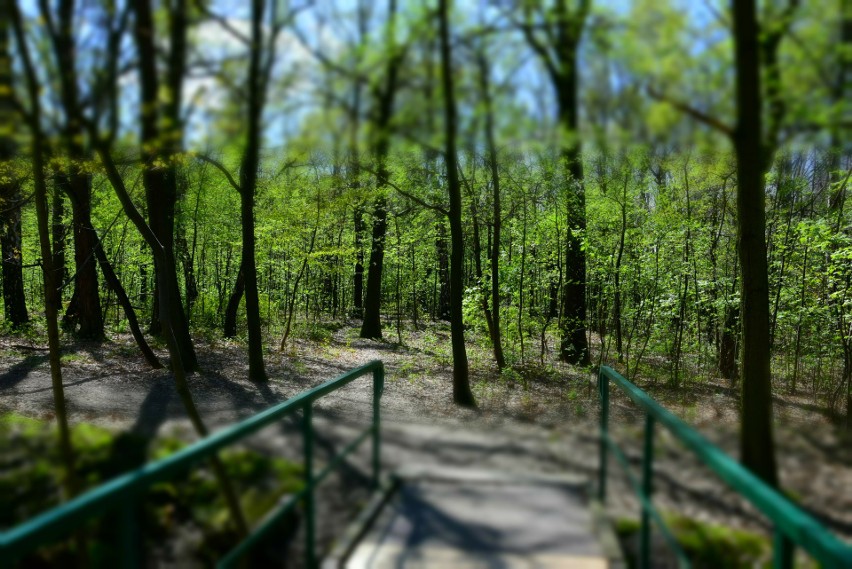 Park Kościuszki w Katowicach