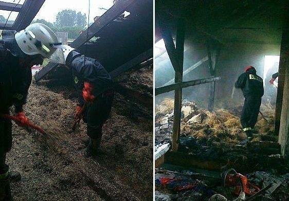 Strażacy dogaszają poddasze domu w Kurzelowie w powiecie włoszczowskim, który zaczął płonąć na skutek uderzenia pioruna.