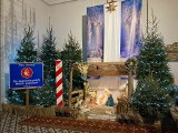 Boże Narodzenie. Żłóbki 2021. Archidiecezja Białostocka i nie tylko [zdjęcia]