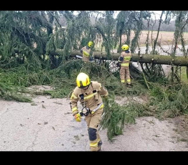 W sobotę tylko w pow. białostockim odnotowano 24 zdarzenia z czego 14 dotyczyło usuwania złamanych drzew, a w 1 przypadku zabezpieczenia baneru reklamowego