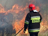  Wciąż płonie las w Budkach