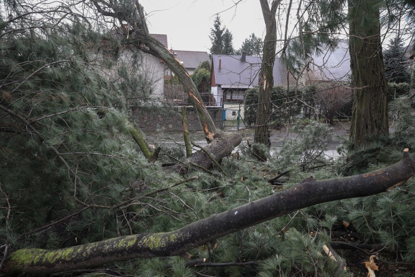 Wichura w Małopolsce. Ponad 150 tys. domostw bez prądu. Trwa walka ze skutkami żywiołu