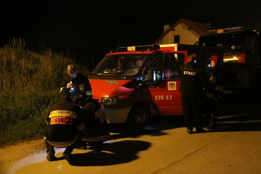 Akcja straży pożarnej w Borowej pod Długołęką. Służby dostały zgłoszenie o wypadku paralotniarza
