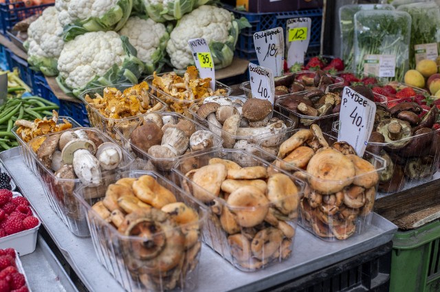 Ceny grzybów na poznańskich rynkach mogą powalić z nóg. Jednak, jak zapewniają sprzedawcy, w najbliższych dniach ich cena powinna spadać.