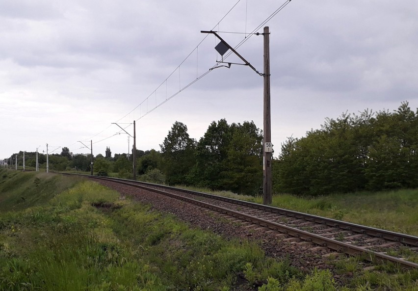 Linia kolejowa do Kutna w okolicach Jedlicz