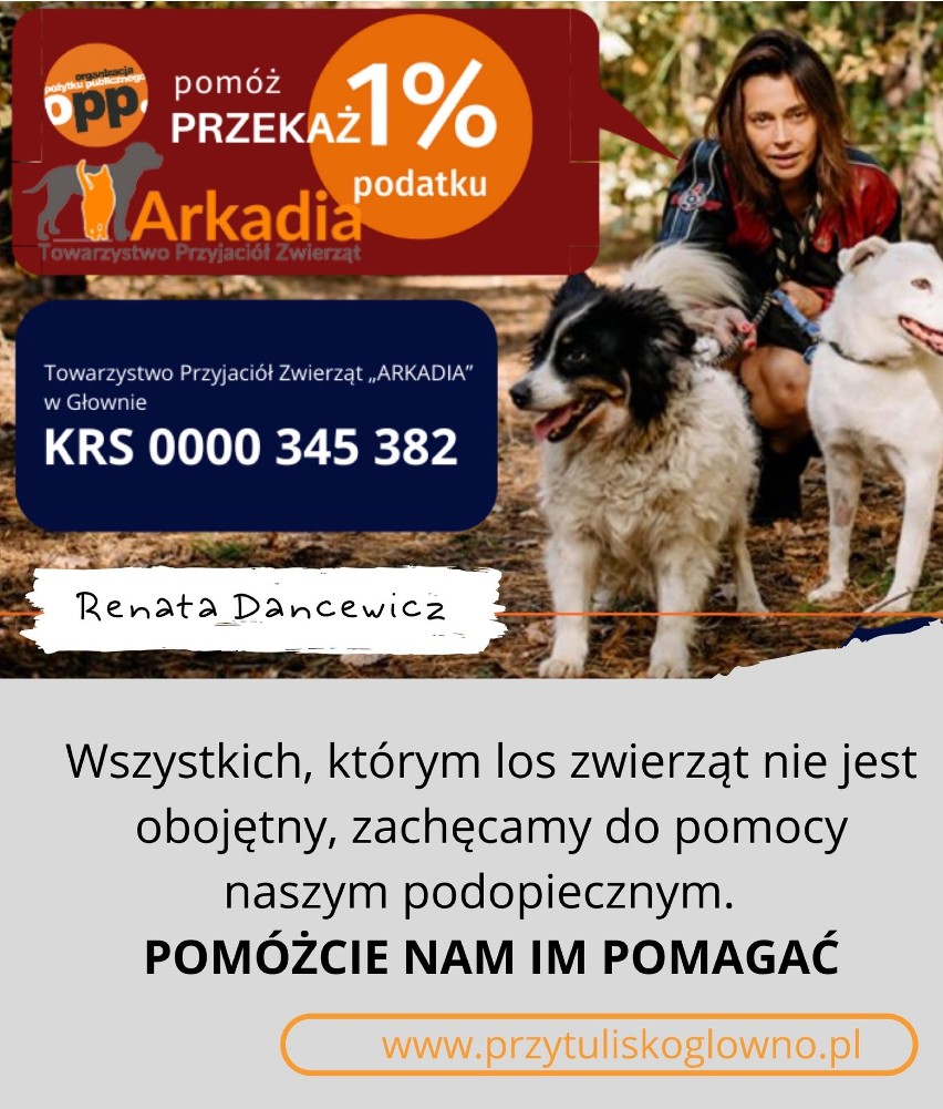 Przytulisko dla zwierząt prosi o jeden procent