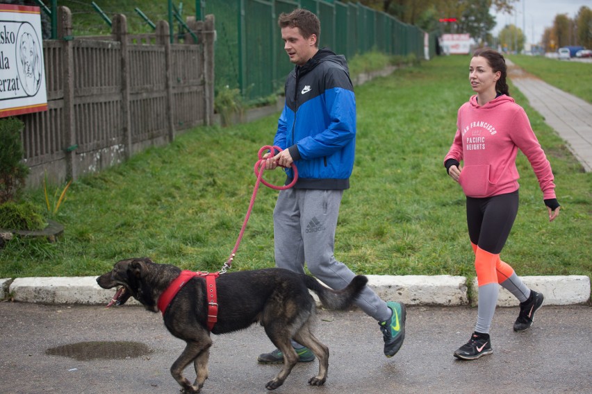 PSIEbieg w Białymstoku. Psy ze schroniska mogły się wybiegać (zdjęcia)