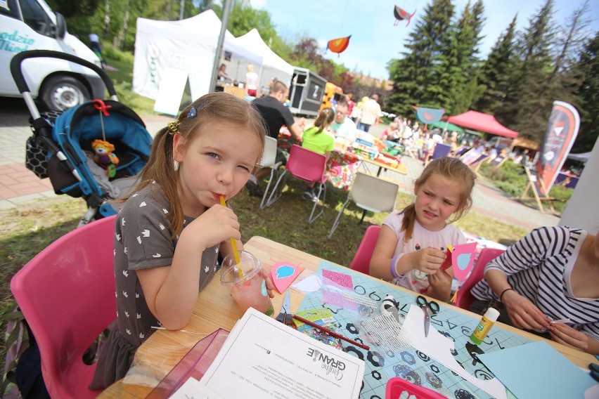 Leśny Piknik Rodzinny Katowice