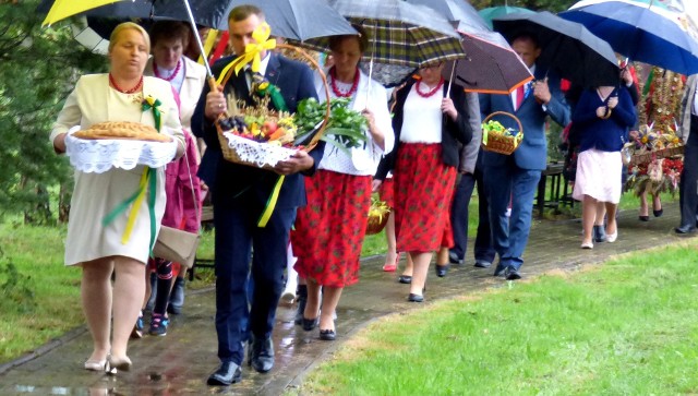 W strugach deszczu, pod parasolami, maszerował dożynkowy korowód z kościoła w Czarnocinie. W pierwszej parze - starostowie: Agnieszka Cichy i Krystian Przeniosło.