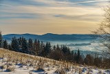 Taka zima tylko w Beskidzie Sądeckim. Mróz i śnieg tworzą niesamowity pejzaż [ZDJĘCIA]