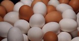 Jaja skażone fipronilem w Europie trafiły do Polski. Jak je odróżnić?
