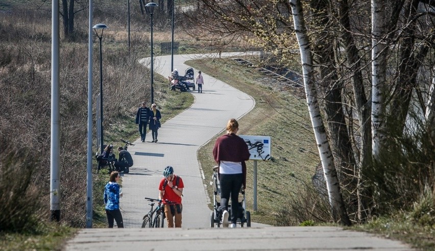 Okolice Stawu Wróbla, 28.03.2020