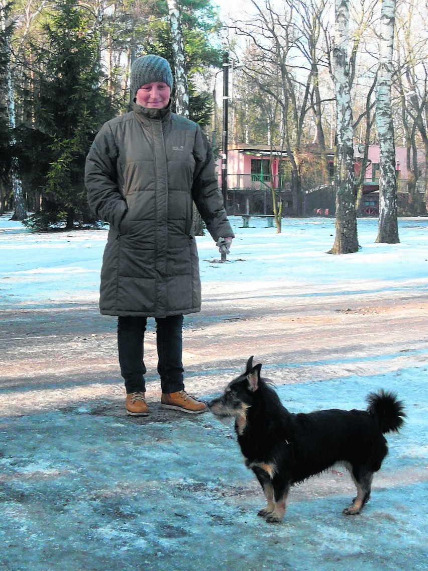 Właściciele czworonogów, które nie mają czipa, mogą wykonać...