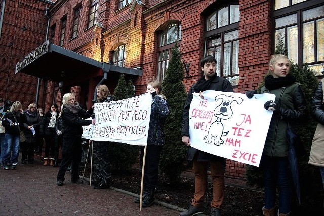 Manifestacja obrońców zwierząt przed budynkiem sądu we Włocławku.
