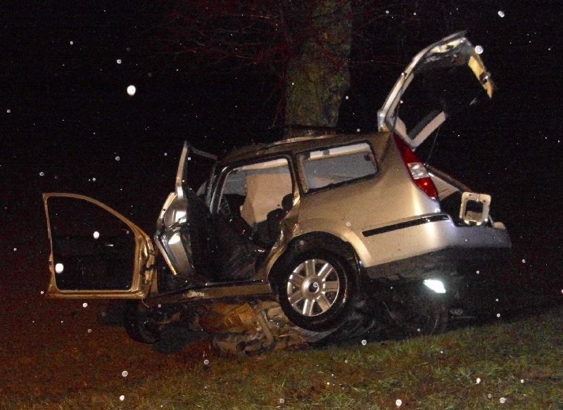 Auto Marka Galińskiego wpadło w Brzegach koło Jędrzejowa na...