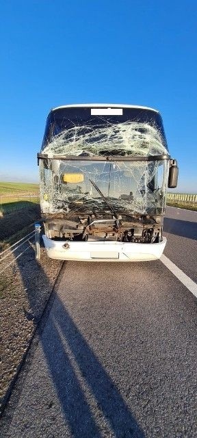 Wypadek w Mnichowie pod Jędrzejowem, zderzenie autobusu i ciężarówki. Służby ratunkowe w akcji