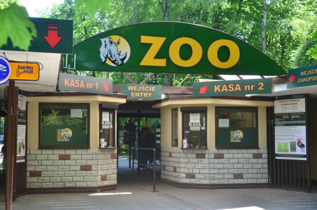 Nowe Zoo w Poznaniu ponownie otwiera się w piątek, 19 czerwca.