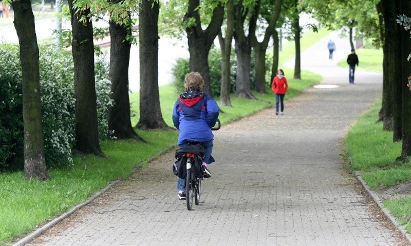 Droga rowerowa zostanie zbudowana między innymi wzdłuż...