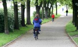 Droga rowerowa na Dąbrowę dopiero w przyszłym roku