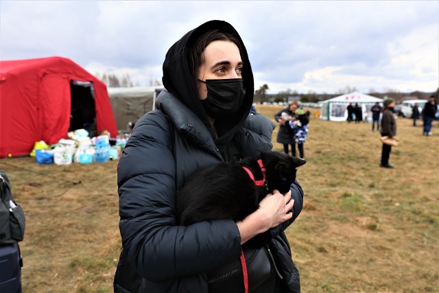 Wielu uchodźc&oacute;w z Ukrainy zabiera swoich czworonożnych przyjaci&oacute;ł ze sobą. Wiele jest takich, kt&oacute;re nie mają domu. Jak możemy im pom&oacute;c?