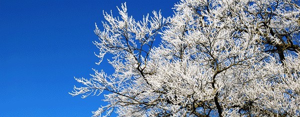 Temperatura w kraju może spaść nawet do - 18 stopni. Nad morzem słupek rtęci nie powinien wskazywać mnij niż -3