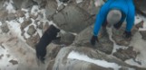 Tatry. Turyści ściągnęli psa ze szczytu Giewontu