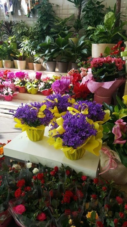 FloraDeco w Rzeszowie - kwiaciarnia z pasją. Dowóz kwiatów na terenie miasta