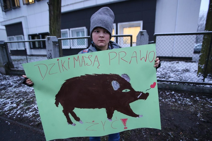 Protest przeciwko polowaniom na dziki