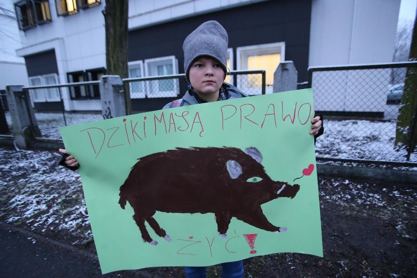 Protest przeciwko polowaniom na dziki