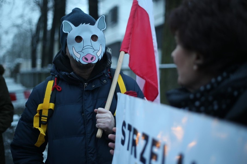 Protest przeciwko polowaniom na dziki