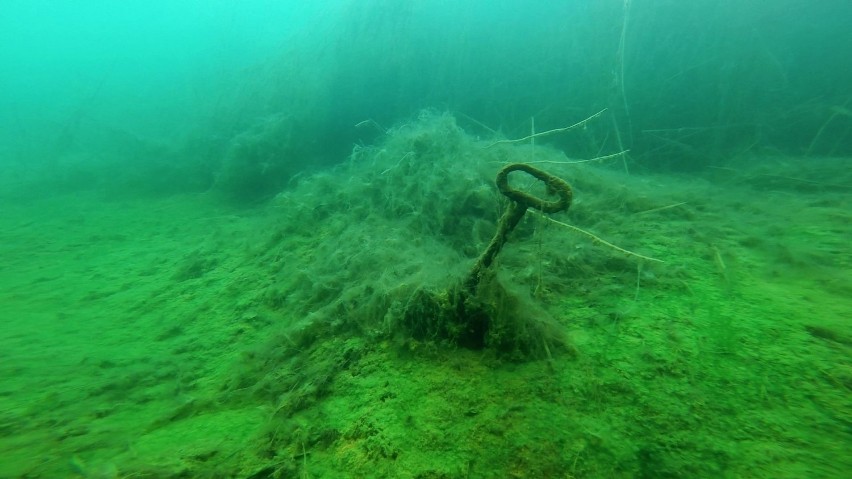 Pod wodą wytworzył się ekosystem z martwymi i żywymi...
