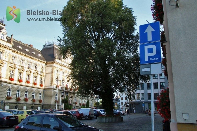 W Bielsku-Białej urzędnicy ustąpili miejsca mieszkańcom. Na parkingu przed Ratuszem ZDJĘCIA
