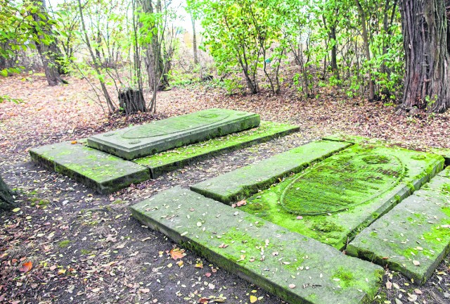 Kamienne grobowce na ulicy Północnej to jedna z nielicznych pamiątek po rodzinie von Eynern, do której należały obecne dzielnice Bierkowice, Półwieś, a także Sławice. Po II wojnie światowej groby splądrowano.