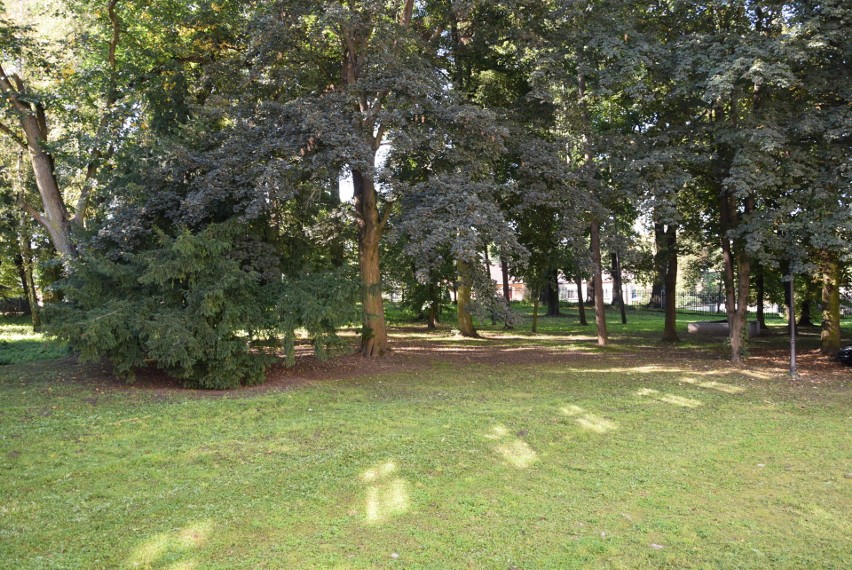 Park przy pałacu Wielopolskich w Częstocicach przejdzie rewitalizację. Co zostanie zrobione?