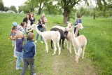 Koronawirus w Bochni i Brzesku. Przewodnicy w Kopalni Soli Bochnia bez dochodów. Muzeum Motyli straciło kilkanaście tys. zł