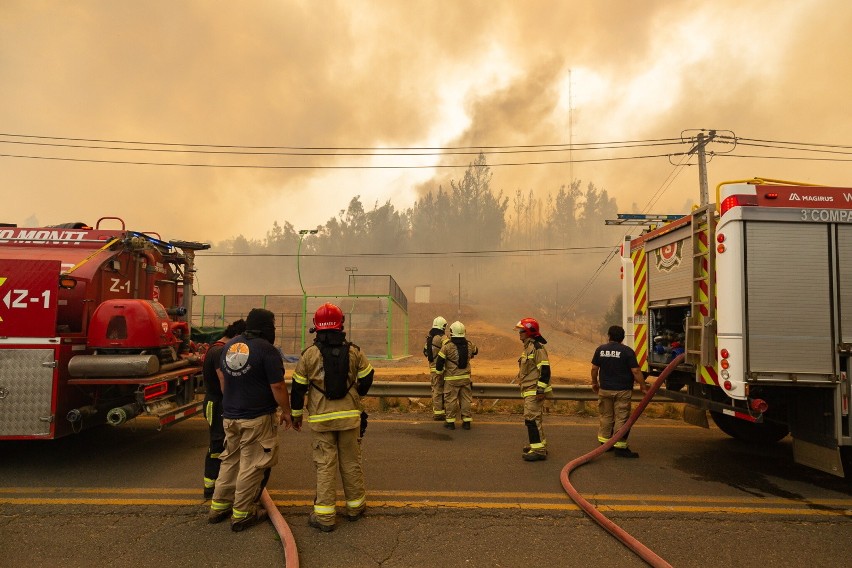 Co najmniej 23 osoby zginęły w pożarach lasów w Chile, gdzie...
