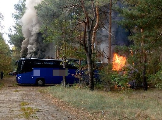 Do pożaru autokaru doszło we wtorek, 9 października w rejonie miejscowości Dobrojewo. Pojazdem podróżowały dzieci ze szkoły w Gorzowie. Samochód doszczętnie spłonął, ale nikomu nic się nie stało. Strażacy podkreślają przytomne zachowanie kierowcy autobusu.Było po godzinie 12, kiedy kierowca autokaru zauważył dym, wydobywający się z komory silnika. - Kierowca zatrzymał pojazd i zarządził ewakuację autokaru. Następnie próbował ugasić ogień własną gaśnicą, jednak płomienie były już za duże, dlatego zadzwonił po pomoc strażaków - mówi brygadier Lesław Gliński, wicekomendant Komendy Powiatowej Państwowej Straży Pożarnej w Międzyrzeczu.Ogień rozprzestrzeniał się w mgnieniu oka. Gdy na miejsce zaczęły dojeżdżać pierwsze wozy strażackie (w sumie w akcji uczestniczyło siedem jednostek straży pożarnej), większa część autokaru była już w płomieniach. Ogień przedostał się też na część lasu, w którym stał autobus. Na szczęście strażacy obronili drzewa przed płomieniami.Pojazd spłonął doszczętnie. Podróżowało nim 55 dzieci i pięcioro opiekunów. Była to wycieczka klas drugich i trzecich. - Na szczęście nikt nie ucierpiał - mówi bryg. Gliński.  Prawdopodobną przyczyną pożaru było zwarcie w komorze silnika. Z naszych informacji wynika, że autokarem podróżowały dzieci ze Szkoły Podstawowej nr 9 w Gorzowie Wlkp. 