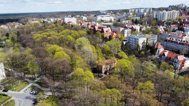 Piękna pogoda w Zielonej Górze. Park Tysiąclecia budzi się do życia.